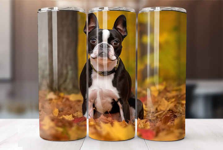 Boston Terrier Tumbler