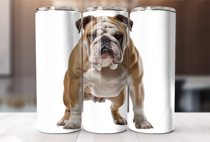 English Bulldog Tumbler