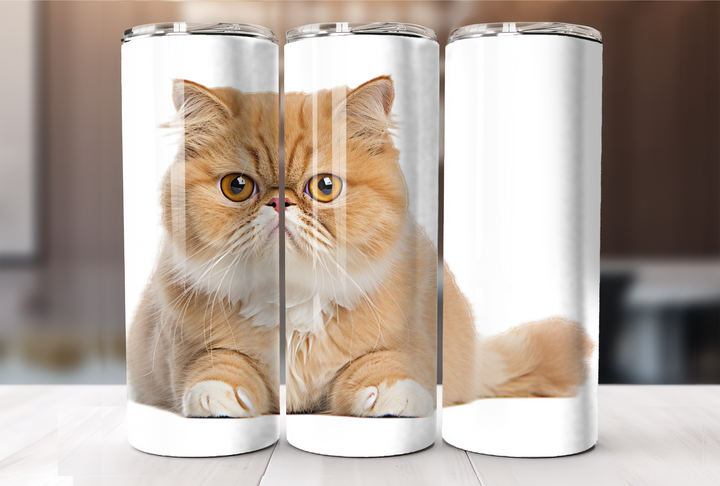 Exotic Shorthair Tumbler