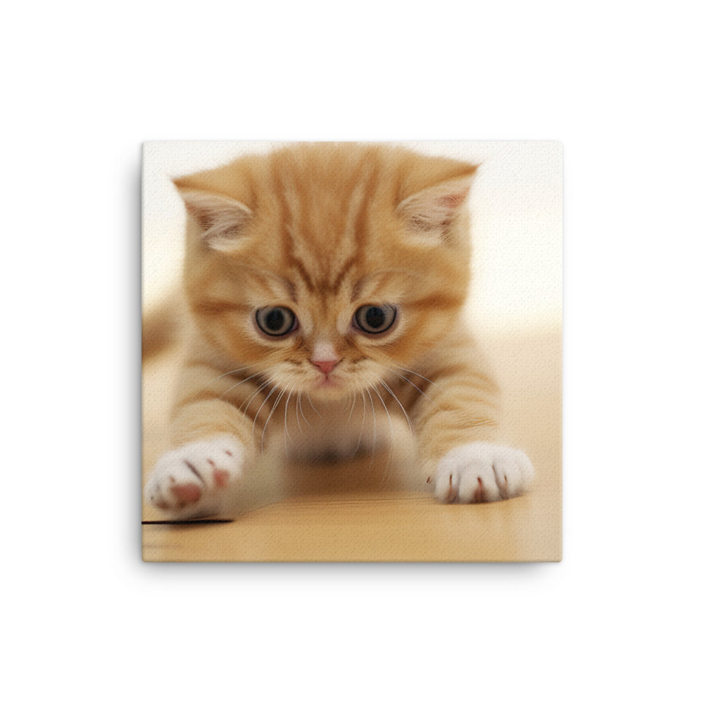 Exotic Shorthair Kitten Canvas - PosterfyAI.com