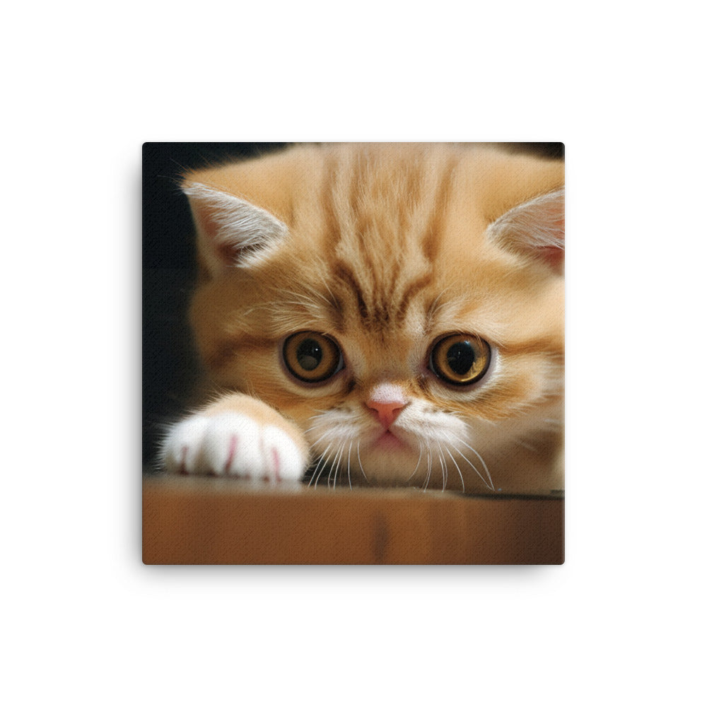 Exotic Shorthair Kitten Canvas - PosterfyAI.com