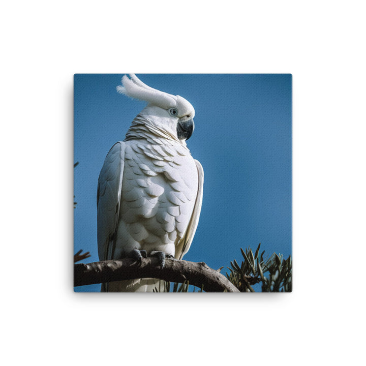 Snowy White Cockatoo Canvas - PosterfyAI.com