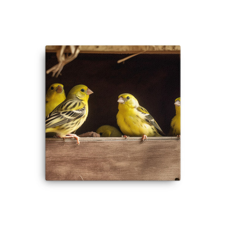 Singing canaries in a birdhouse Canvas - PosterfyAI.com