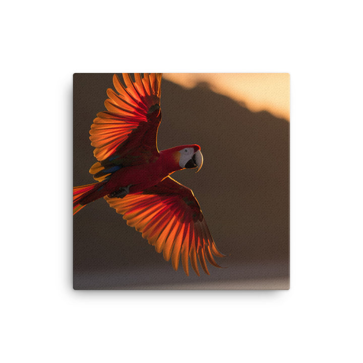 Scarlet Macaw flying over a beach at sunset Canvas - PosterfyAI.com