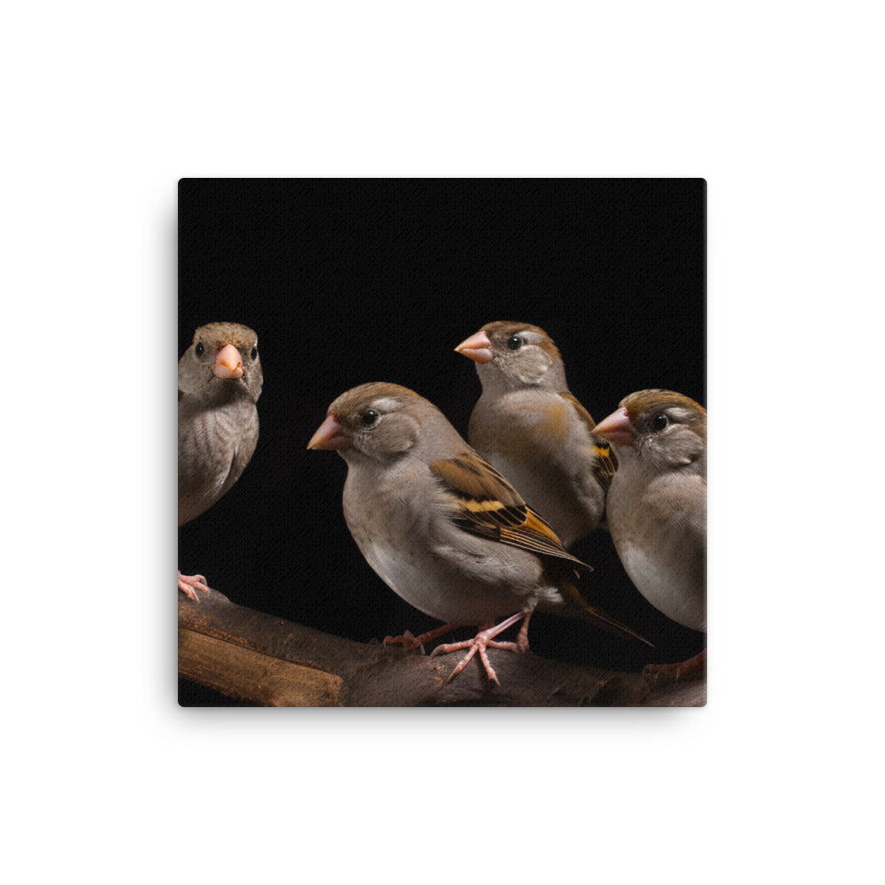 Flock of Society Finches Canvas - PosterfyAI.com