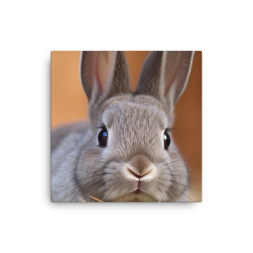Netherland Dwarf Bunny Canvas - PosterfyAI.com