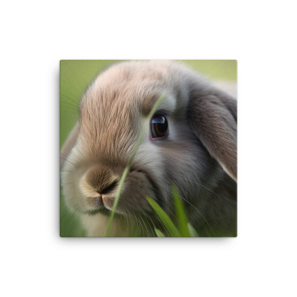 Holland Lop Canvas - PosterfyAI.com