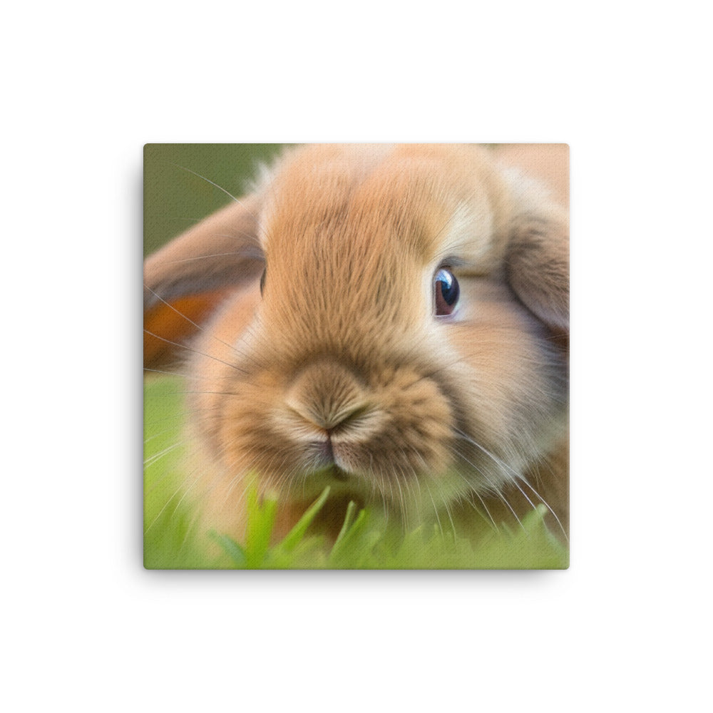 Holland Lop Canvas - PosterfyAI.com