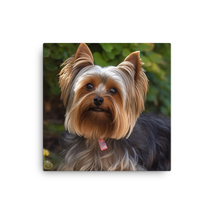 Yorkshire Terrier in the Garden Canvas - PosterfyAI.com