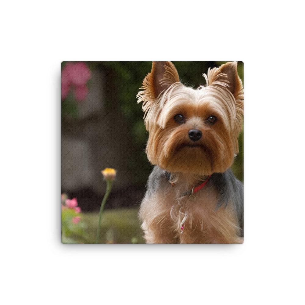 Yorkshire Terrier in the Garden Canvas - PosterfyAI.com