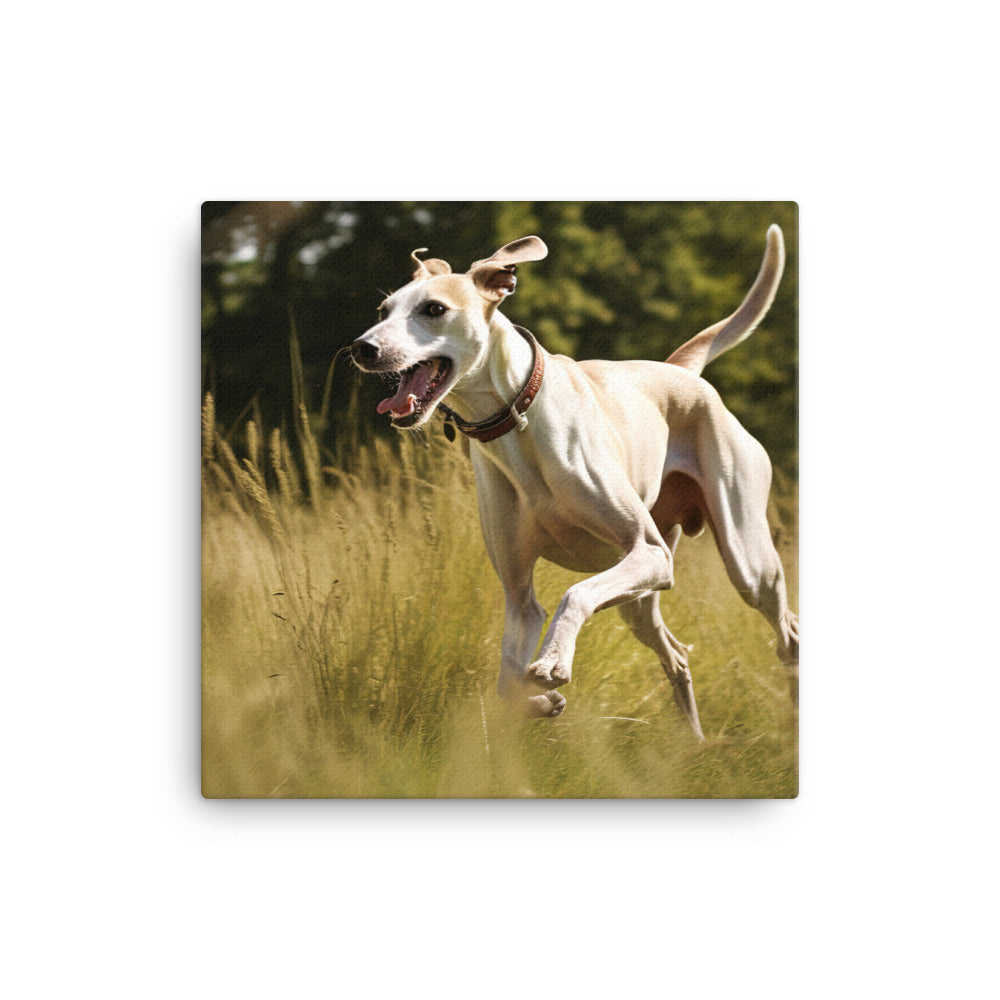 Whippet in-Action Canvas - PosterfyAI.com