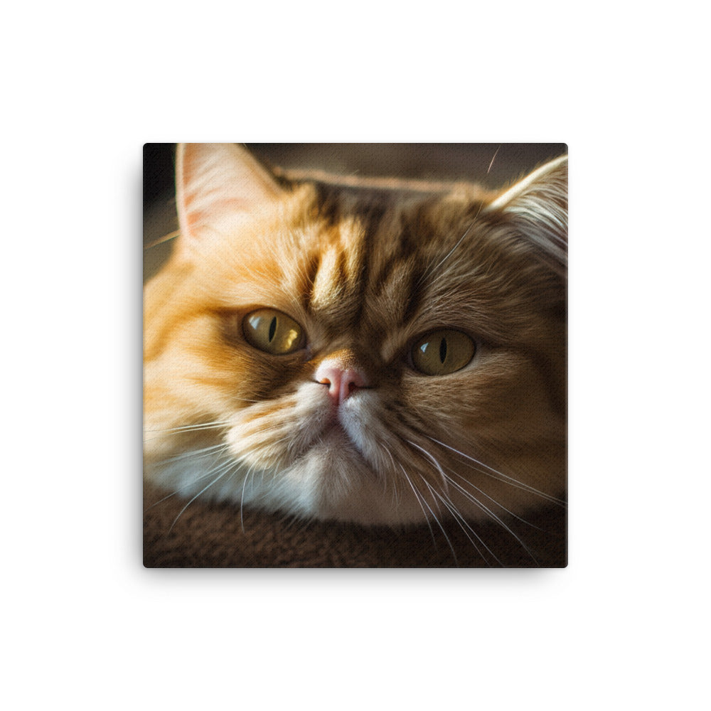 Exotic Shorthair Cat Canvas - PosterfyAI.com