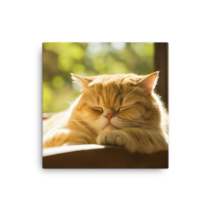 Exotic Shorthair Cat Napping Canvas - PosterfyAI.com