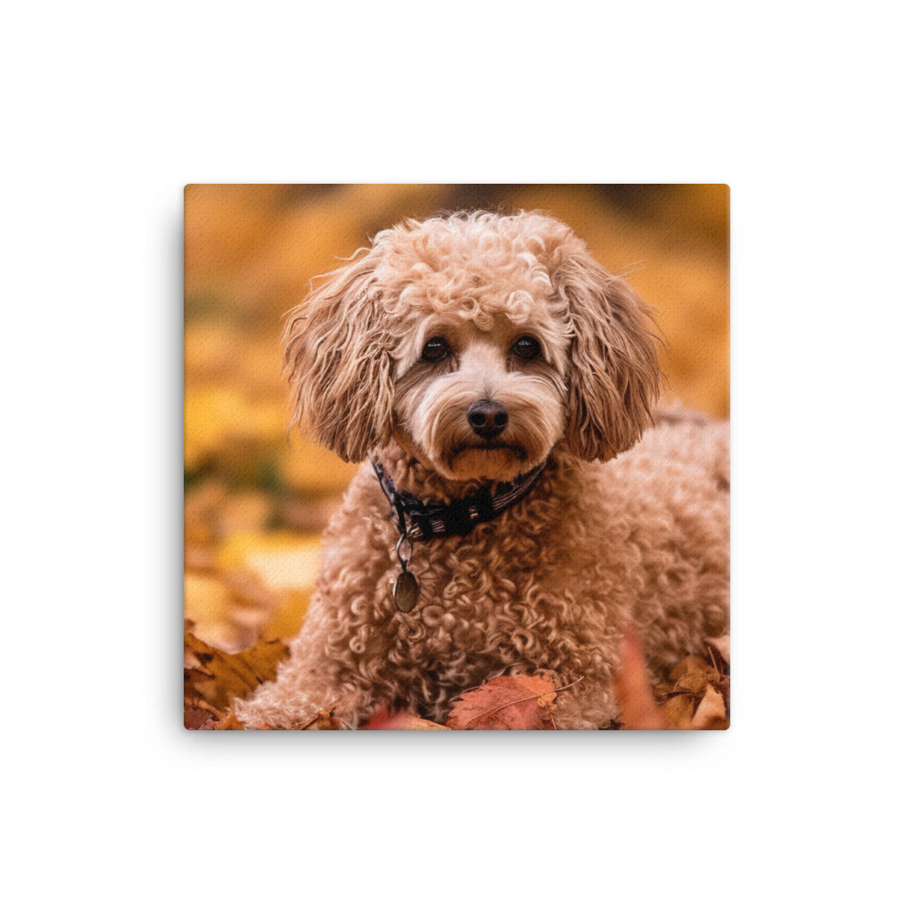 Poodle in Autumn Leaves Canvas - PosterfyAI.com