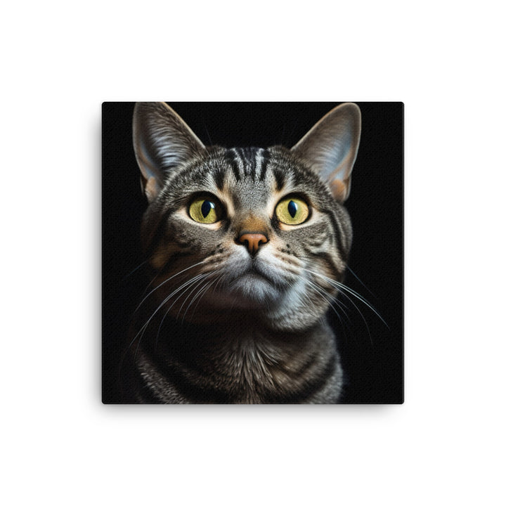 American Shorthair Cat Canvas - PosterfyAI.com