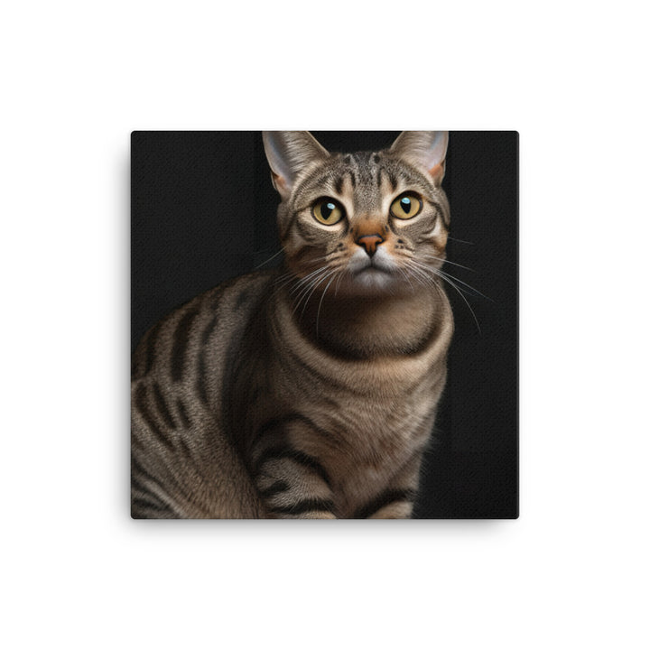 American Shorthair Cat Canvas - PosterfyAI.com