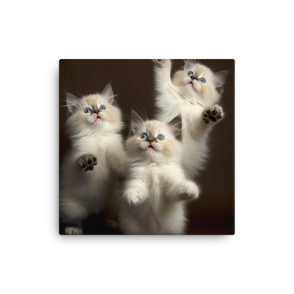 Ragdoll Kitten Canvas - PosterfyAI.com