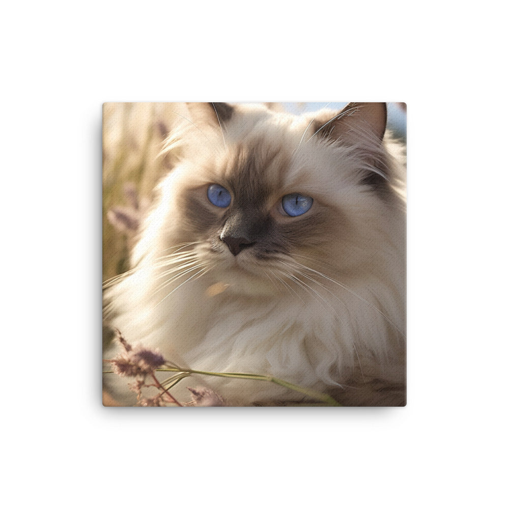 Gentle Nature of Ragdoll Cat Canvas - PosterfyAI.com