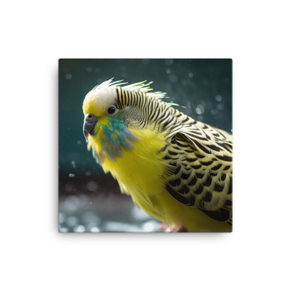 Budgie Taking a Bath Canvas - PosterfyAI.com