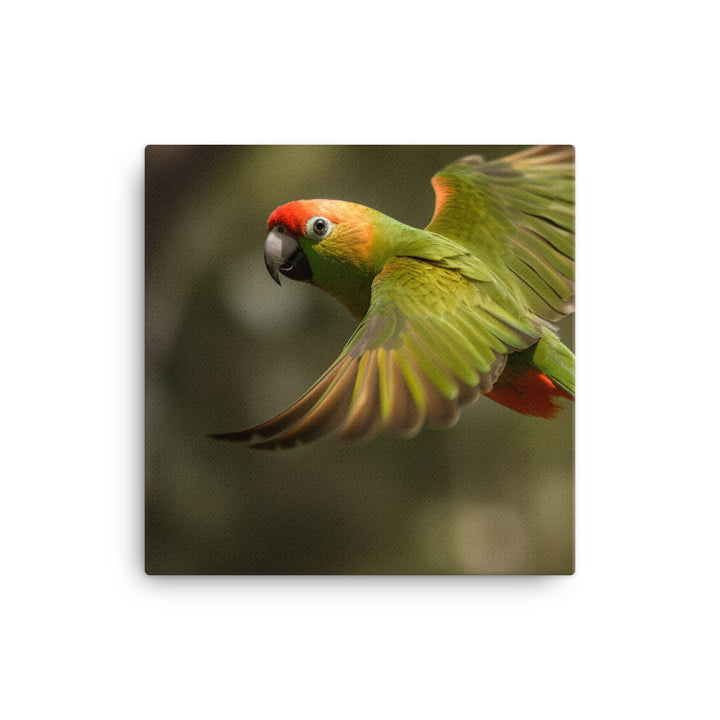 A Conure in mid flight Canvas - PosterfyAI.com