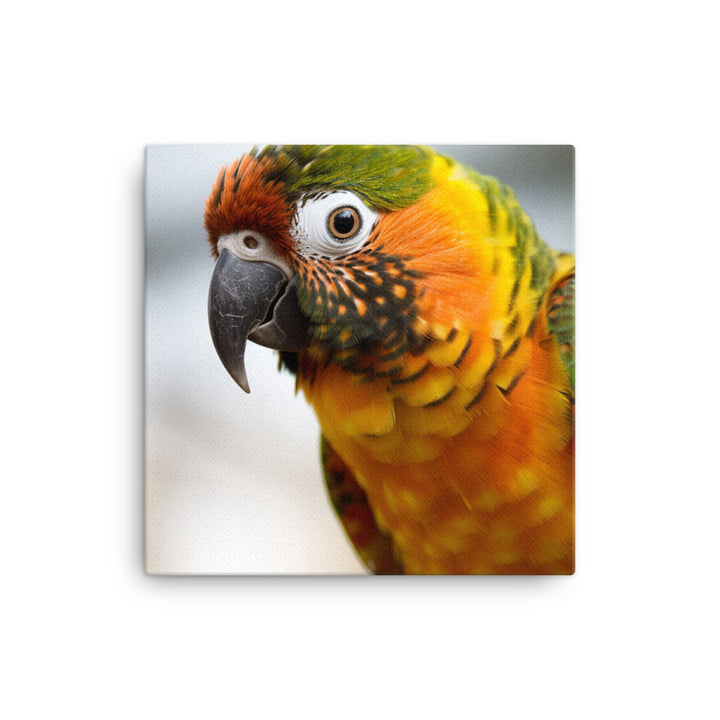 A colorful Conure perched on a branch Canvas - PosterfyAI.com