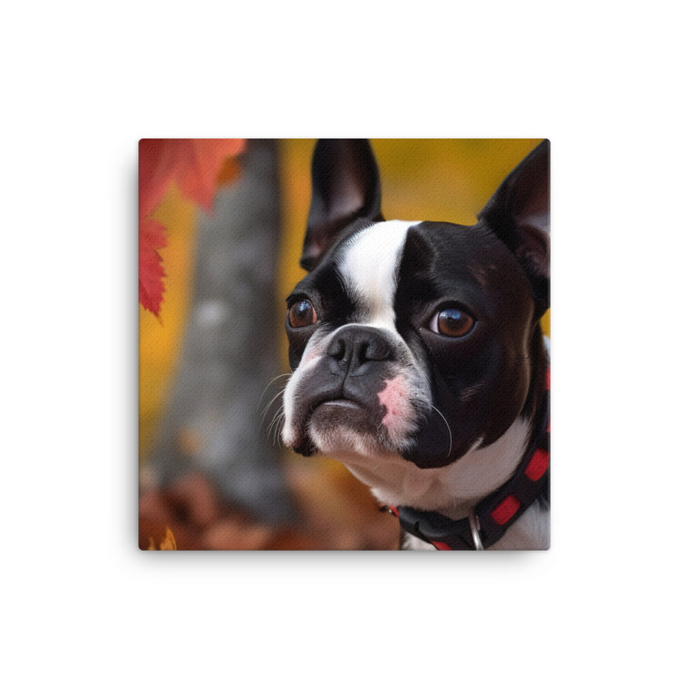 Boston Terrier with Fall Colors Canvas - PosterfyAI.com
