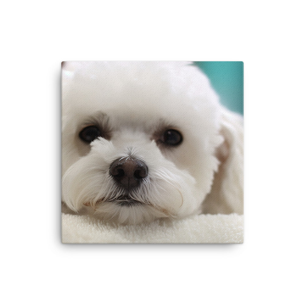 Bichon Frise in a Spa Canvas - PosterfyAI.com