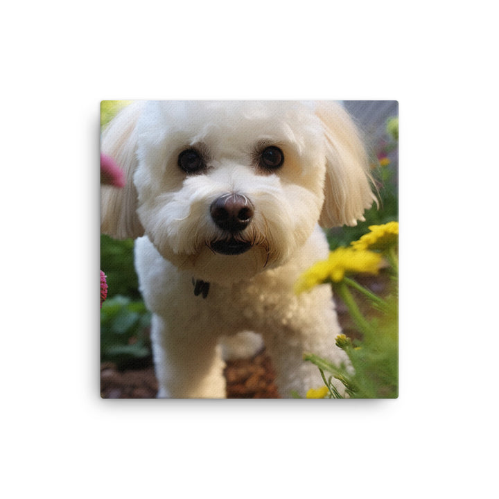 Bichon Frise in a Garden Canvas - PosterfyAI.com