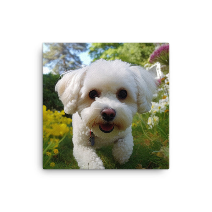 Bichon Frise in a Garden Canvas - PosterfyAI.com