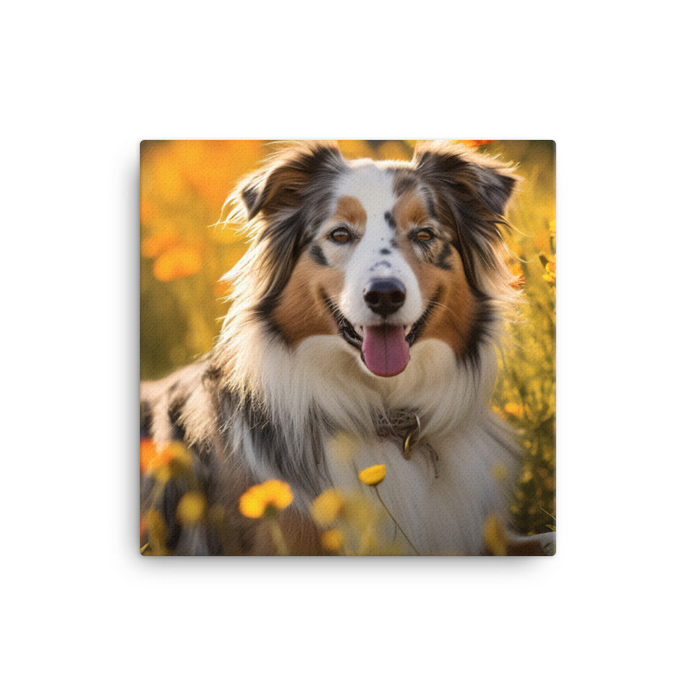 Australian Shepherd sitting Canvas - PosterfyAI.com