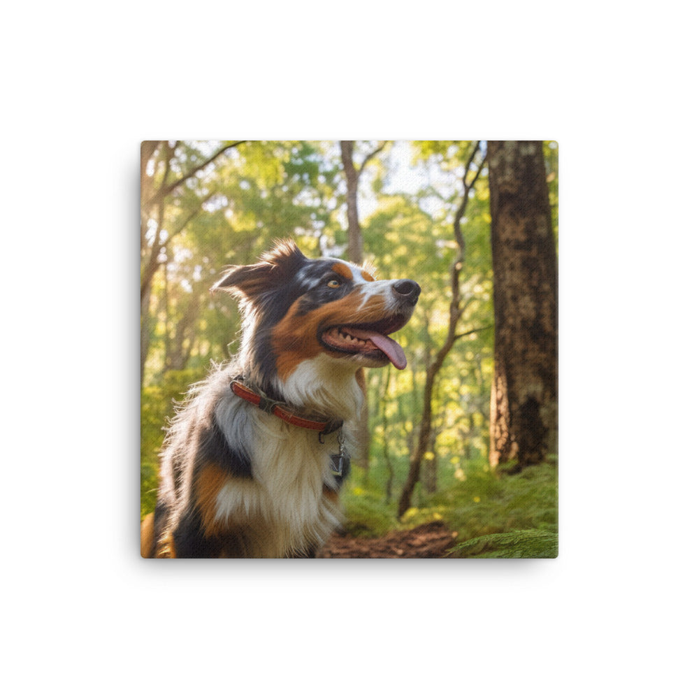 Australian Shepherd as it hikes Canvas - PosterfyAI.com