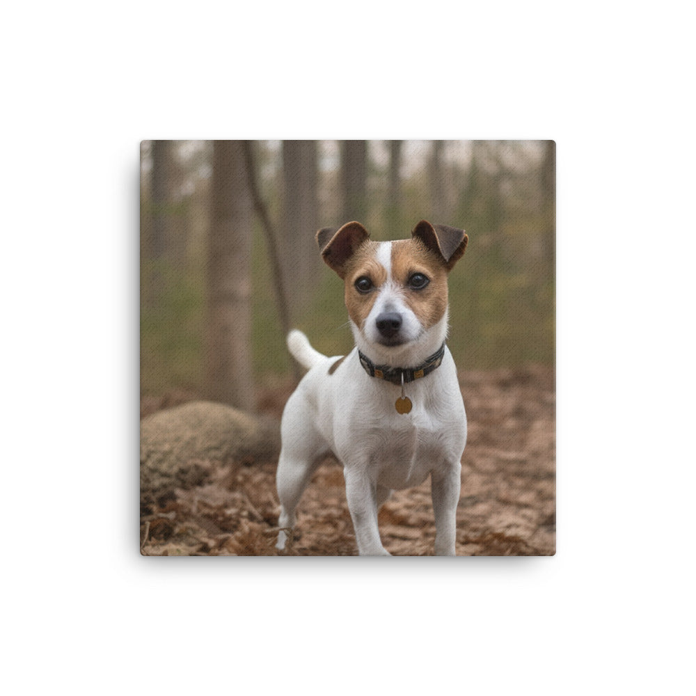 Adorable Jack Russell Terrier Posing for Camera Canvas - PosterfyAI.com