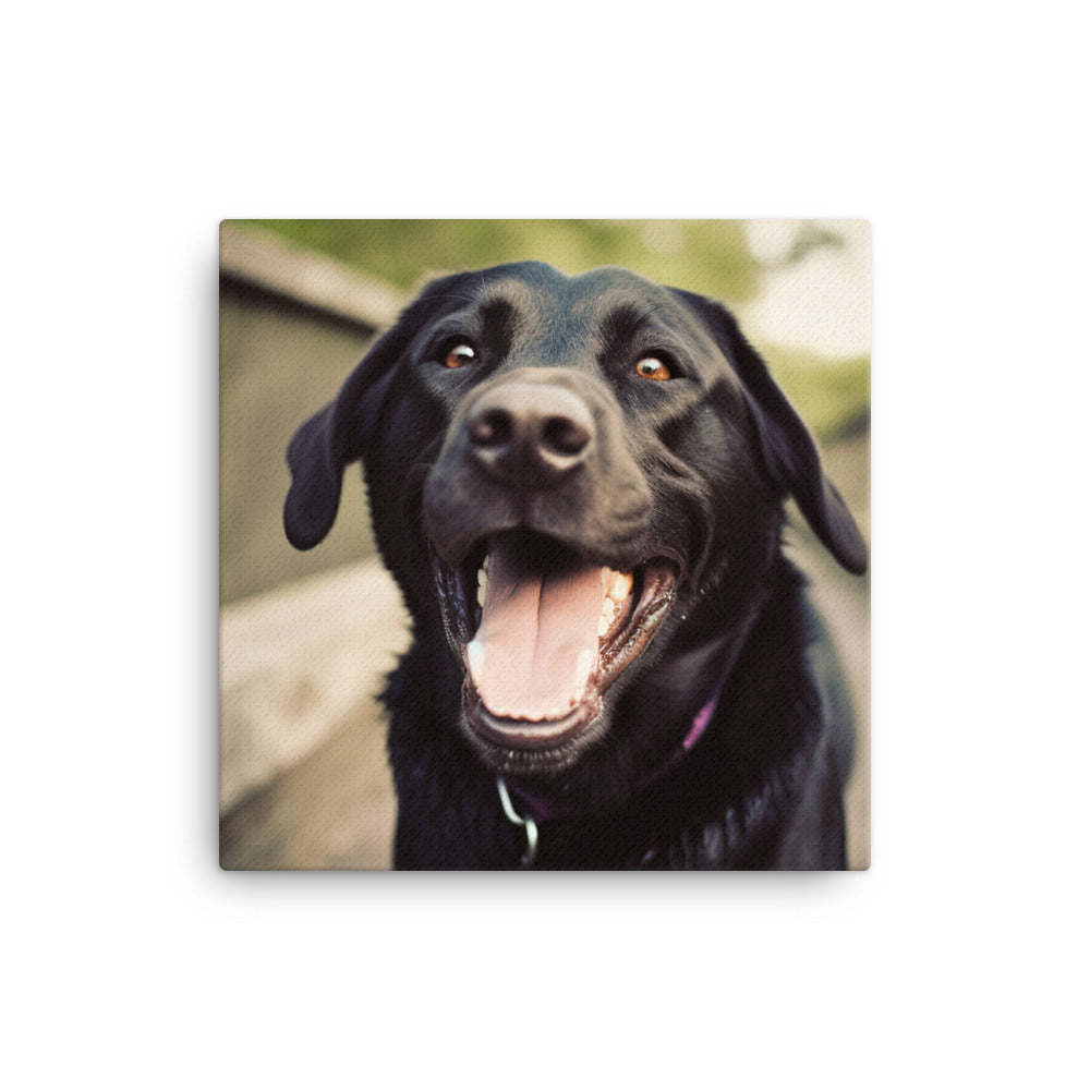 A portrait of a happy Labrador Retriever Canvas - PosterfyAI.com