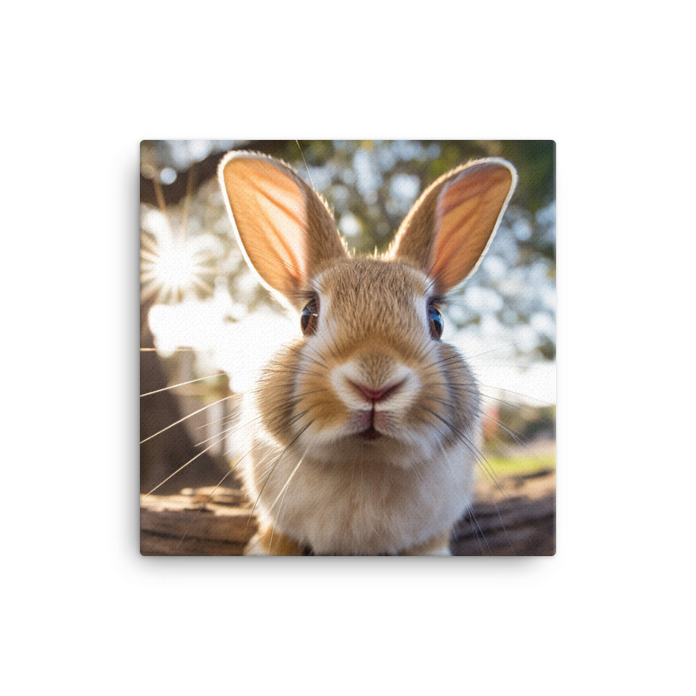 Adorable Californian Bunny Canvas - PosterfyAI.com