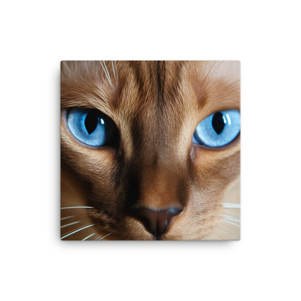 Mesmerizing Eyes of Tonkinese Cat Canvas - PosterfyAI.com