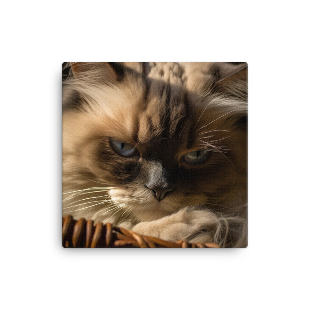 Luxurious Fur of Himalayan Cat Canvas - PosterfyAI.com