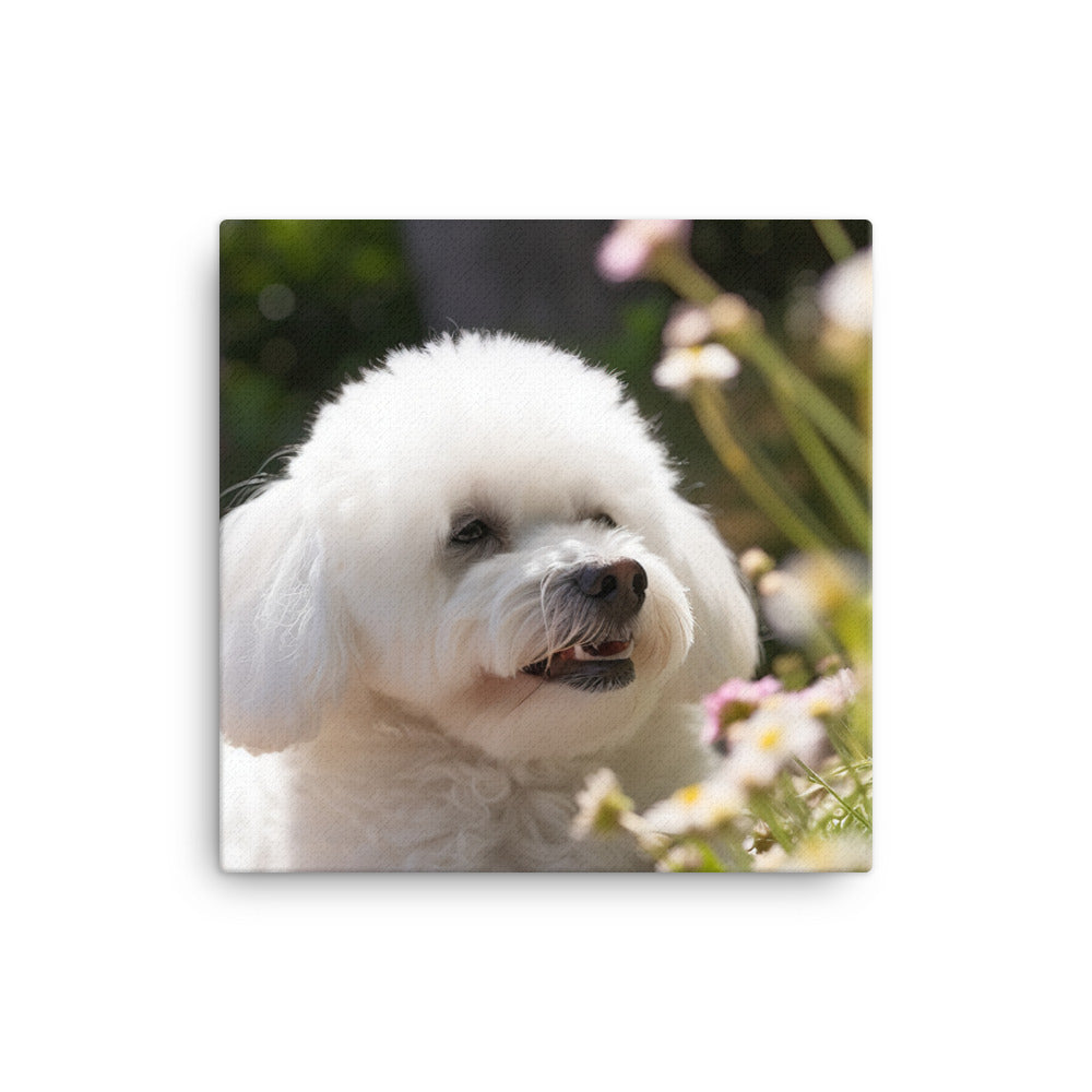 Bichon Frise Canvas - PosterfyAI.com