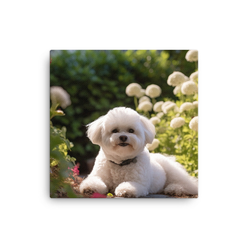 Bichon Frise Canvas - PosterfyAI.com