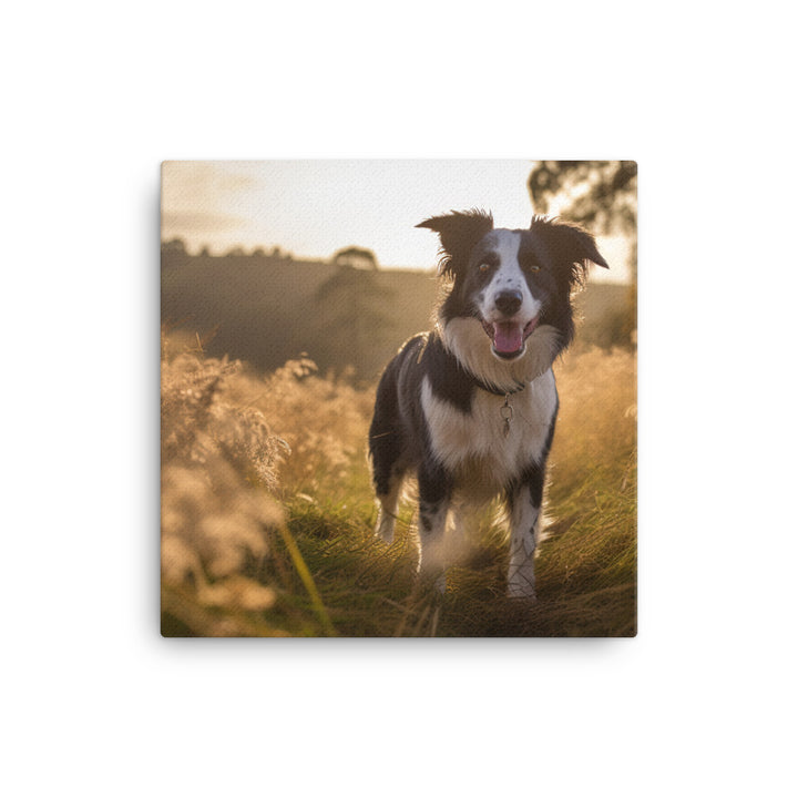 Border Collie Canvas - PosterfyAI.com