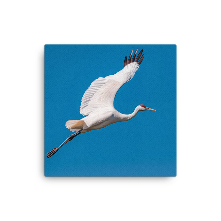 Crane Canvas - PosterfyAI.com