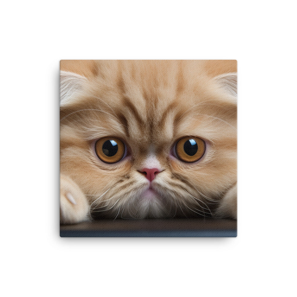 Exotic Shorthair Canvas - PosterfyAI.com