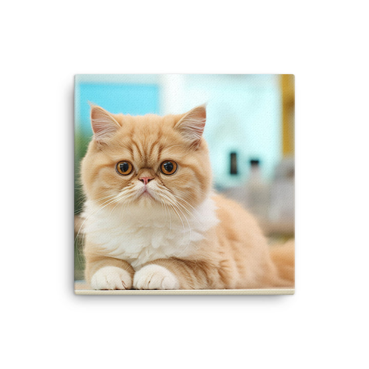 Exotic Shorthair Pharmacist Canvas - PosterfyAI.com