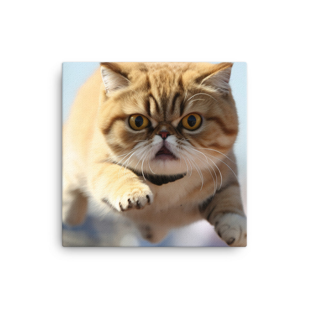 Exotic Shorthair Canvas - PosterfyAI.com