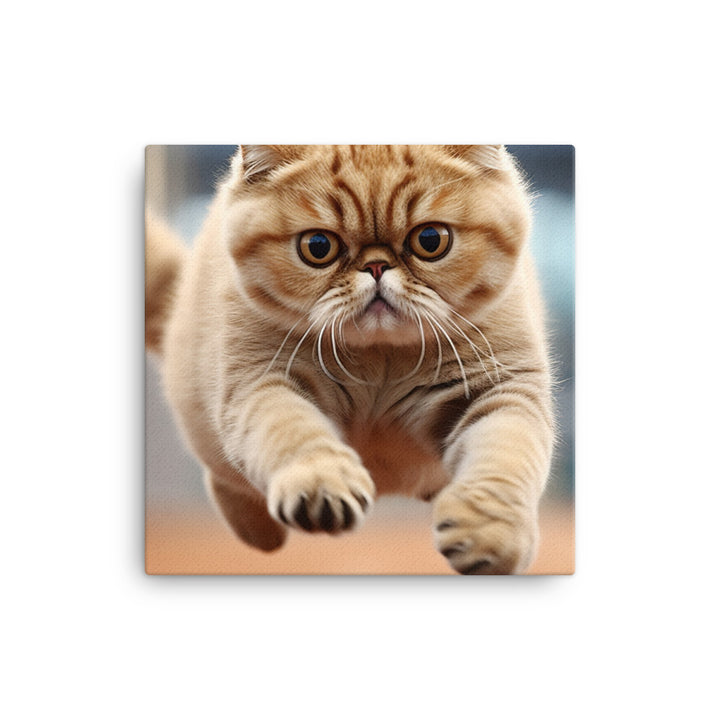 Exotic Shorthair Canvas - PosterfyAI.com