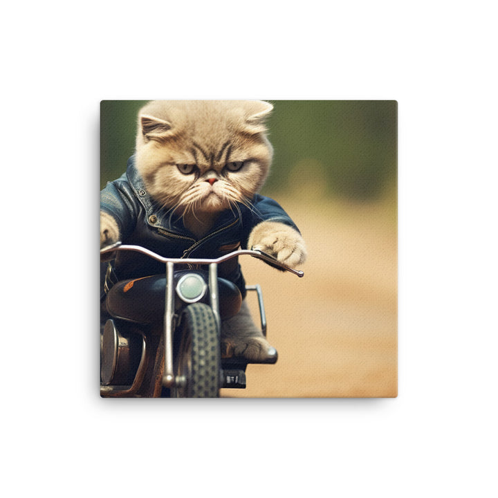 Exotic Shorthair Superbike Athlete Canvas - PosterfyAI.com