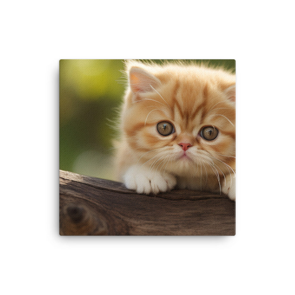 Exotic Shorthair Canvas - PosterfyAI.com