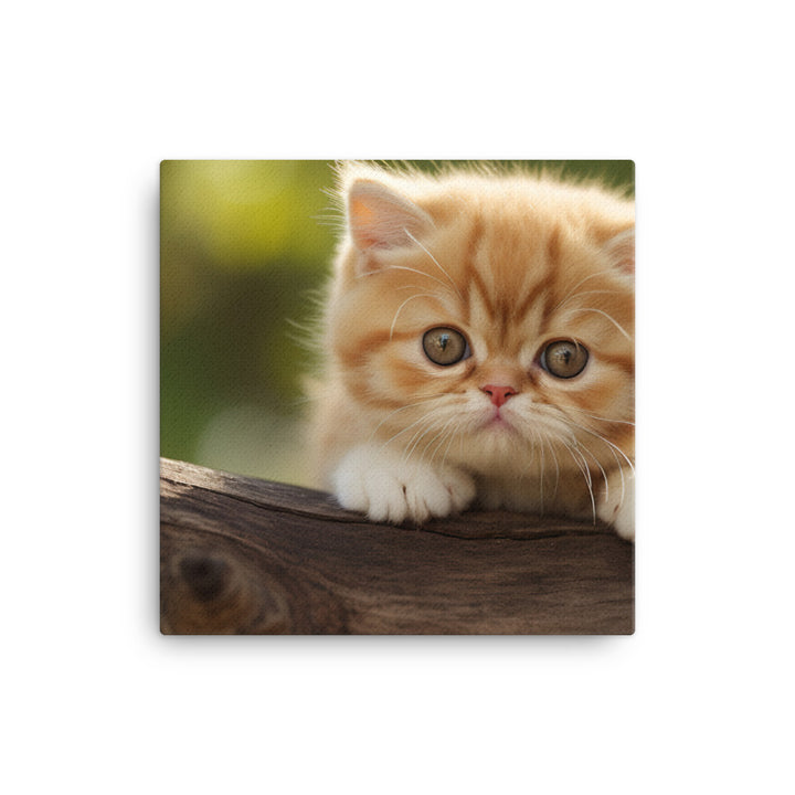 Exotic Shorthair Canvas - PosterfyAI.com