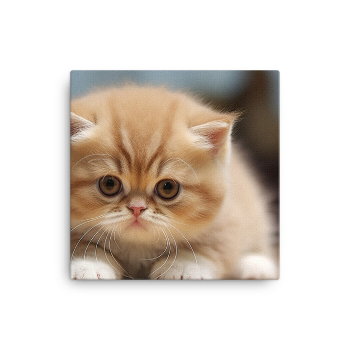 Exotic Shorthair Canvas - PosterfyAI.com