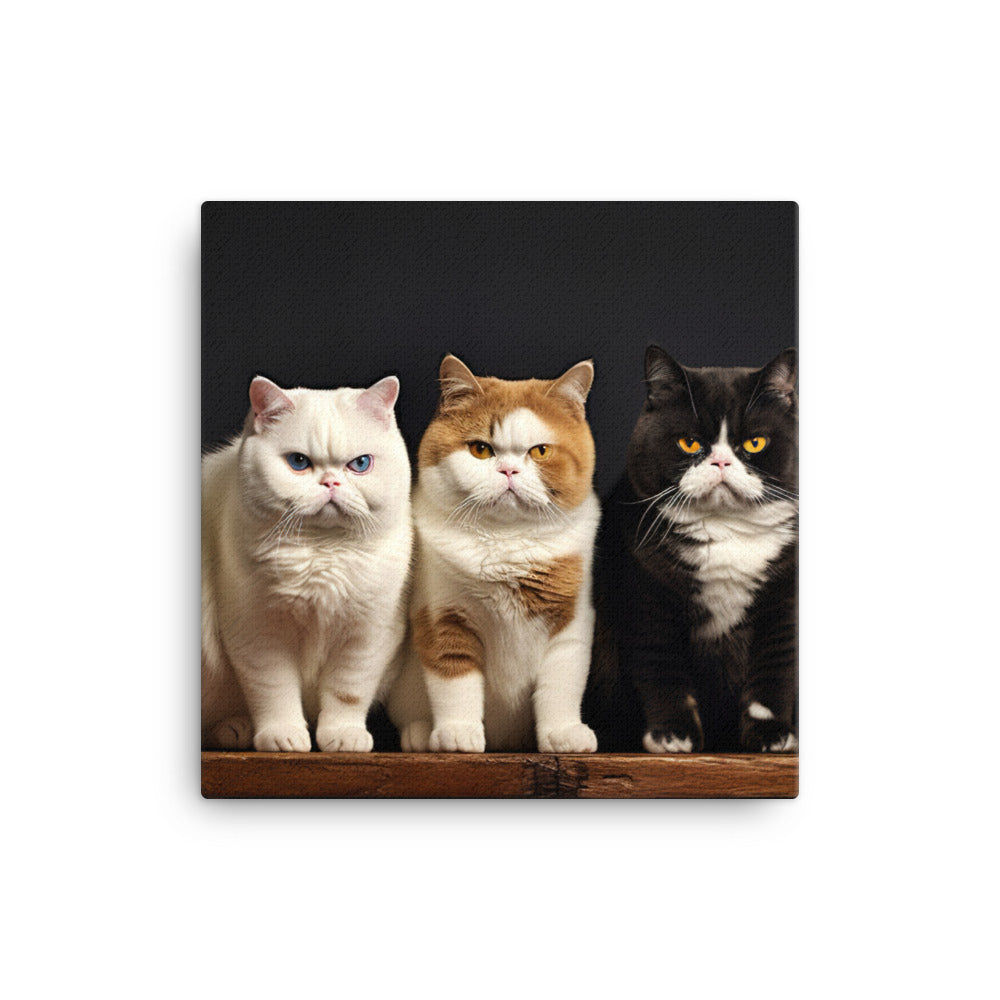 Exotic Shorthair Canvas - PosterfyAI.com