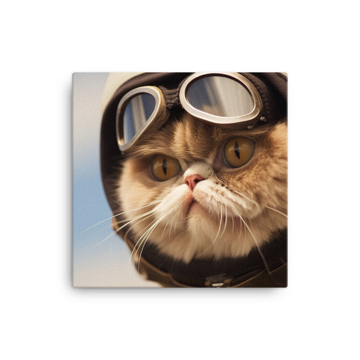 Exotic Shorthair Pilot Canvas - PosterfyAI.com